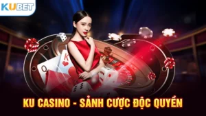 DB casino Kubet